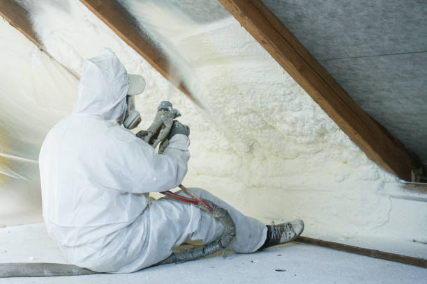 Types of Insulation We Offer in Cortez, FL